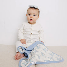 Load image into Gallery viewer, COPPER PEARL® Security Blanket Set (2pk) DAPHNE