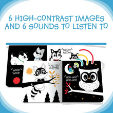 Load image into Gallery viewer, Ditty Bird Sound Book: Black and White - New Born