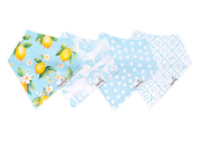 Load image into Gallery viewer, COPPER PEARL® Baby Bandana Bibs - Melody