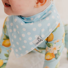 Load image into Gallery viewer, COPPER PEARL® Baby Bandana Bibs - Melody