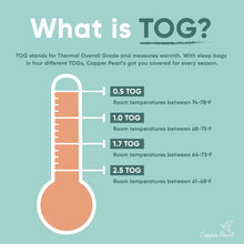 Load image into Gallery viewer, COPPER PEARL® Sleep Bag JUSTICE LEAGUE™