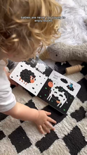 Load image into Gallery viewer, Ditty Bird Sound Book: Black and White - New Born