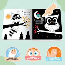 Load image into Gallery viewer, Ditty Bird Sound Book: Black and White  - New Born
