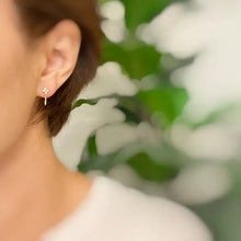 Load image into Gallery viewer, Mini Twinkle Dangle Earrings
