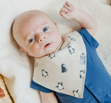 Load image into Gallery viewer, COPPER PEARL® Baby Bandana Bib Set 4pk ARTIC WONDER

