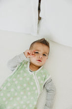 Load image into Gallery viewer, COPPER PEARL® Sleep Bag Bogey
