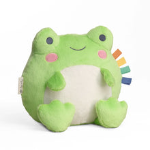 Load image into Gallery viewer, Sweetie Snuggles™ Frog Plush
