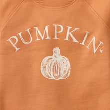 Load image into Gallery viewer, Toddler Pumpkin Organic Cotton Sweatshirt

