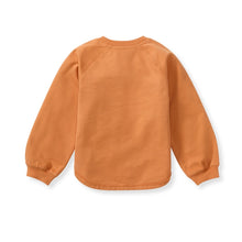 Load image into Gallery viewer, Toddler Pumpkin Organic Cotton Sweatshirt
