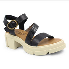 Load image into Gallery viewer, Blowfish® Sandal - Capetown - Black
